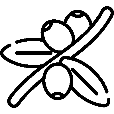 Perula